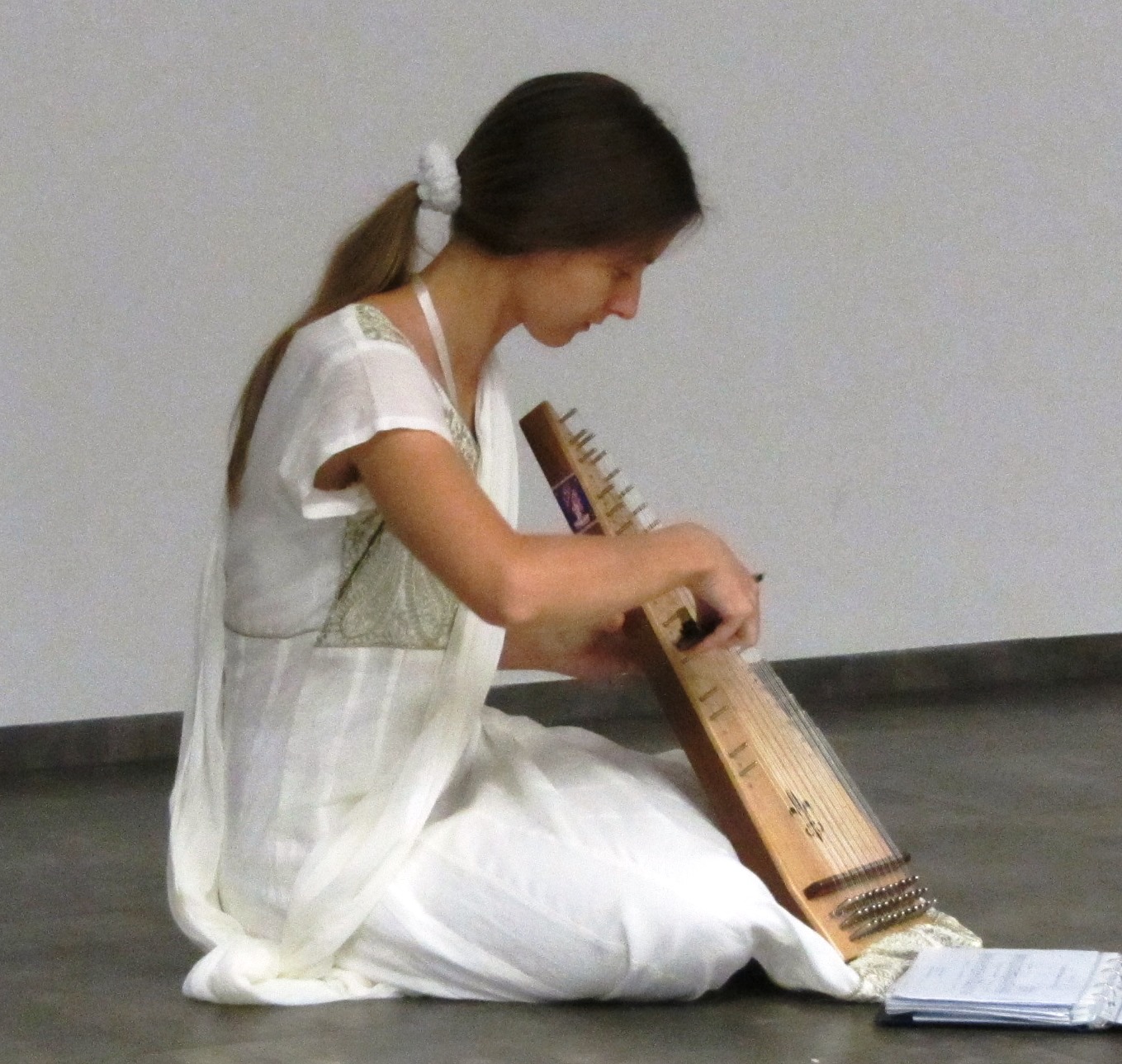 IMG_2559upr