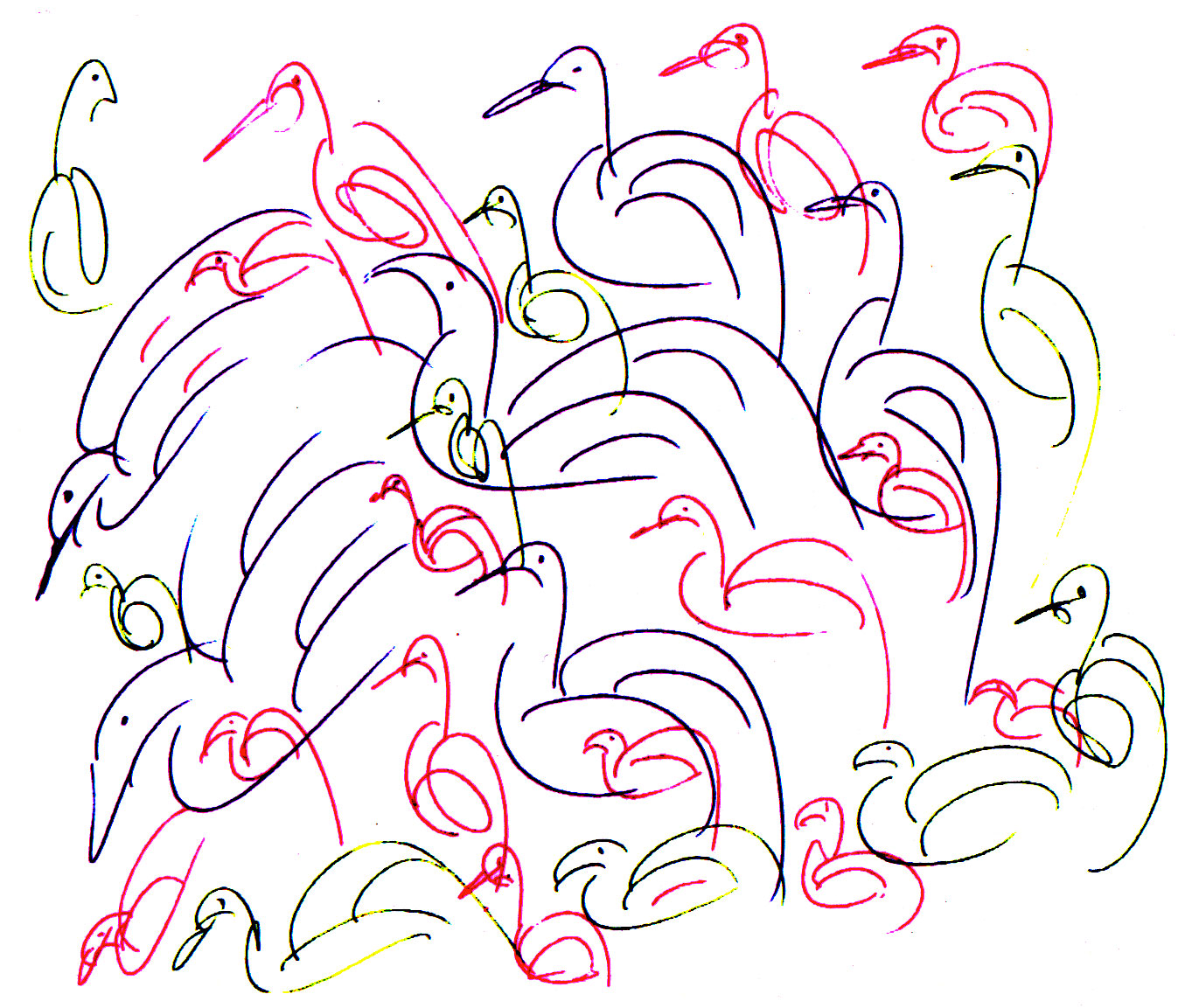 birds-undated-781